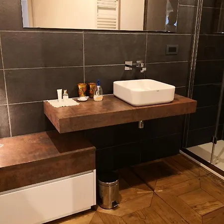 Cupola Rubatti Tornaforte: Apollo E Le Sue Muse