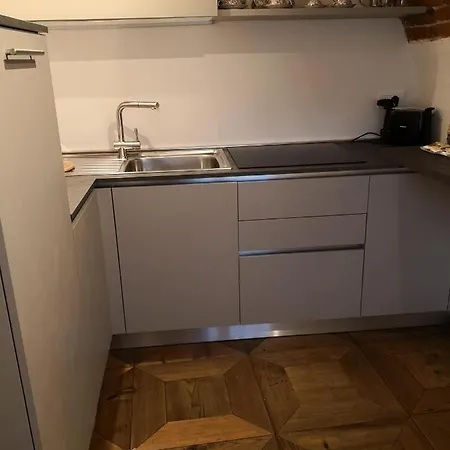 Cupola Rubatti Tornaforte: Apollo E Le Sue Muse *