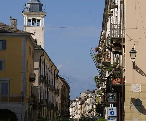 Cupola Rubatti Tornaforte: Apollo E Le Sue Muse 库尼奥