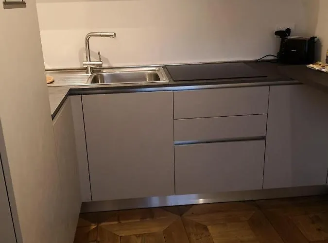 Cupola Rubatti Tornaforte: Apollo E Le Sue Muse *